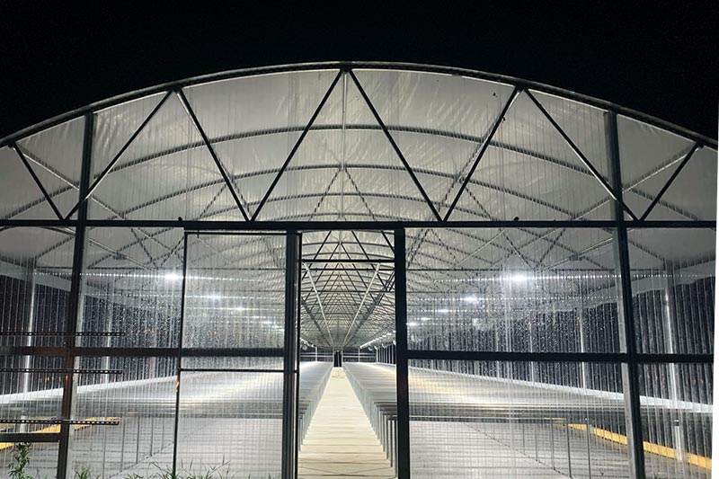 outdoor custom greenhouse for hemp/cannabis plants